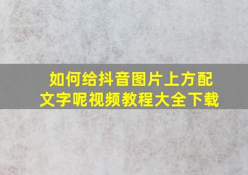 如何给抖音图片上方配文字呢视频教程大全下载