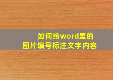 如何给word里的图片编号标注文字内容