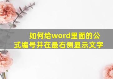 如何给word里面的公式编号并在最右侧显示文字