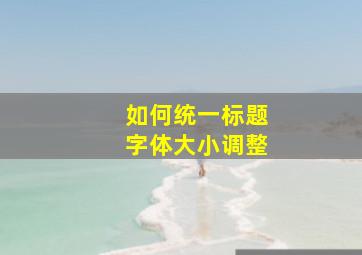 如何统一标题字体大小调整