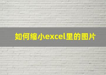 如何缩小excel里的图片