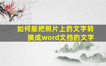 如何能把照片上的文字转换成word文档的文字