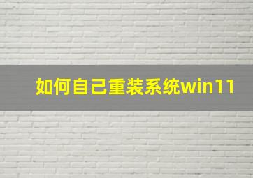 如何自己重装系统win11