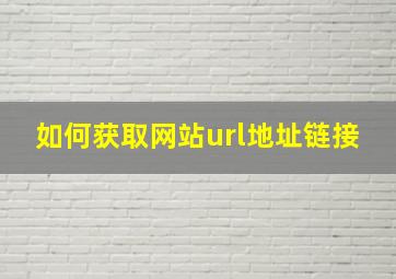 如何获取网站url地址链接