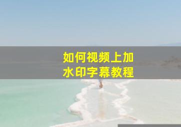 如何视频上加水印字幕教程