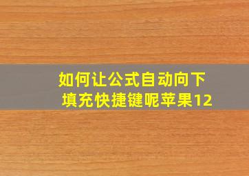 如何让公式自动向下填充快捷键呢苹果12