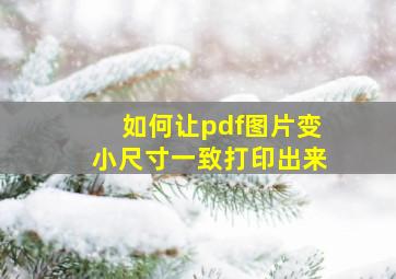 如何让pdf图片变小尺寸一致打印出来