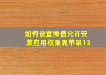 如何设置微信允许安装应用权限呢苹果13