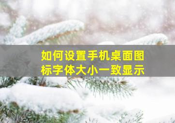 如何设置手机桌面图标字体大小一致显示