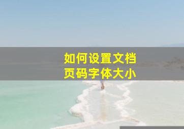 如何设置文档页码字体大小