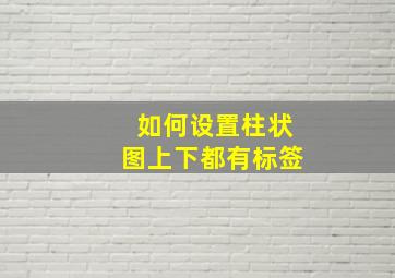 如何设置柱状图上下都有标签