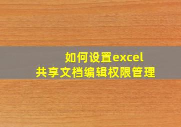 如何设置excel共享文档编辑权限管理