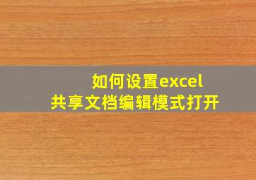 如何设置excel共享文档编辑模式打开