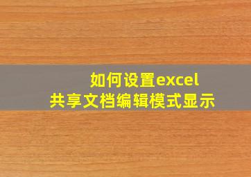 如何设置excel共享文档编辑模式显示