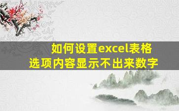 如何设置excel表格选项内容显示不出来数字