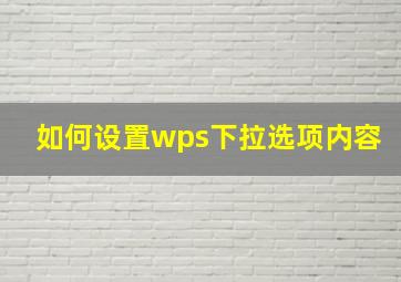 如何设置wps下拉选项内容