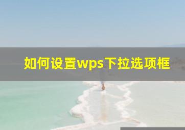 如何设置wps下拉选项框