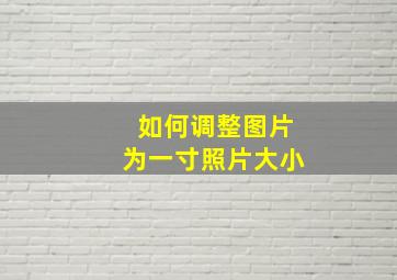 如何调整图片为一寸照片大小