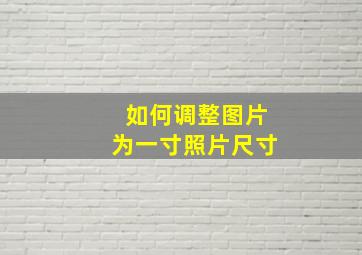 如何调整图片为一寸照片尺寸