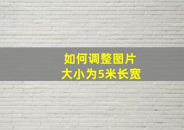 如何调整图片大小为5米长宽