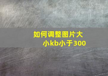 如何调整图片大小kb小于300