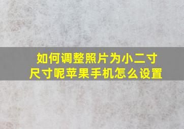 如何调整照片为小二寸尺寸呢苹果手机怎么设置