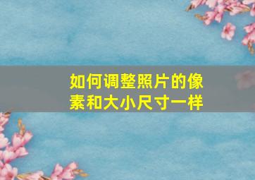 如何调整照片的像素和大小尺寸一样