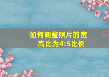 如何调整照片的宽高比为4:5比例