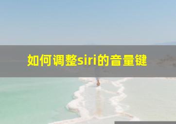 如何调整siri的音量键