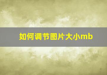 如何调节图片大小mb