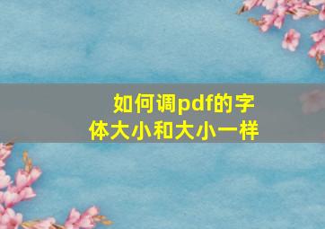 如何调pdf的字体大小和大小一样