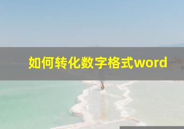 如何转化数字格式word