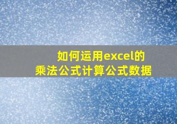 如何运用excel的乘法公式计算公式数据