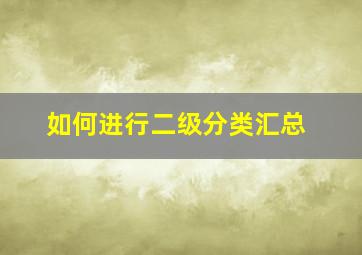 如何进行二级分类汇总