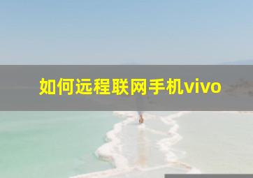 如何远程联网手机vivo