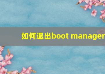 如何退出boot manager