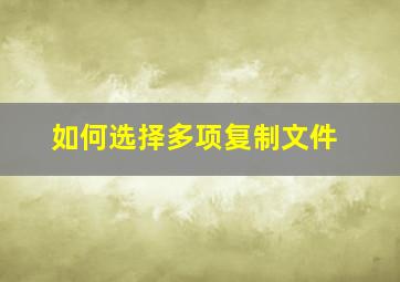 如何选择多项复制文件