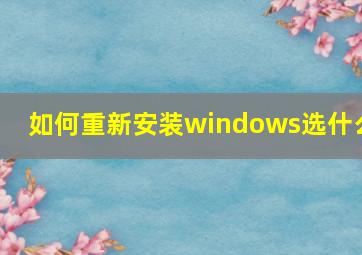 如何重新安装windows选什么