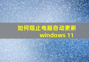 如何阻止电脑自动更新windows 11