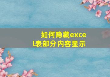 如何隐藏excel表部分内容显示