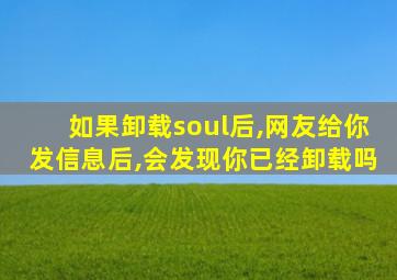 如果卸载soul后,网友给你发信息后,会发现你已经卸载吗