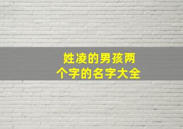 姓凌的男孩两个字的名字大全