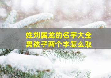 姓刘属龙的名字大全男孩子两个字怎么取