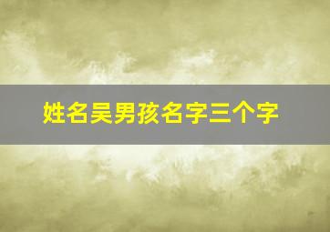 姓名吴男孩名字三个字