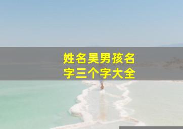 姓名吴男孩名字三个字大全