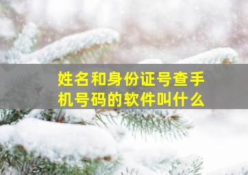 姓名和身份证号查手机号码的软件叫什么