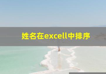 姓名在excell中排序