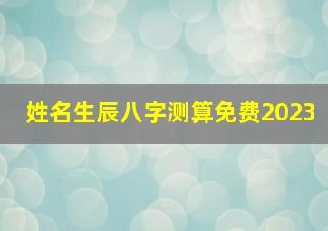 姓名生辰八字测算免费2023