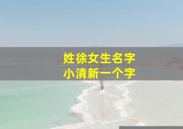 姓徐女生名字小清新一个字