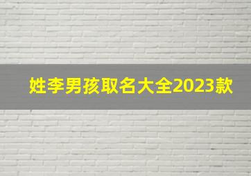 姓李男孩取名大全2023款